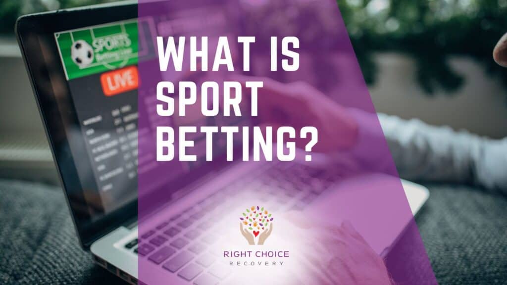 Betting Apps With Split-Screen Support 18