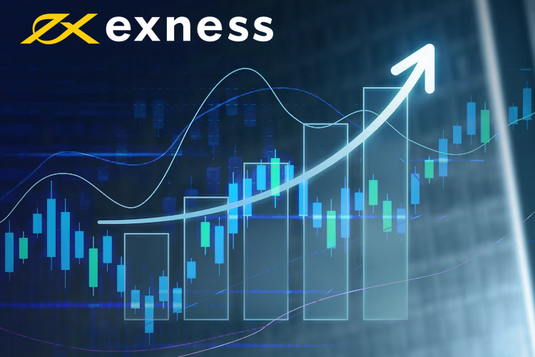 An In-Depth Look at the IB Broker Exness Opportunities and Insights