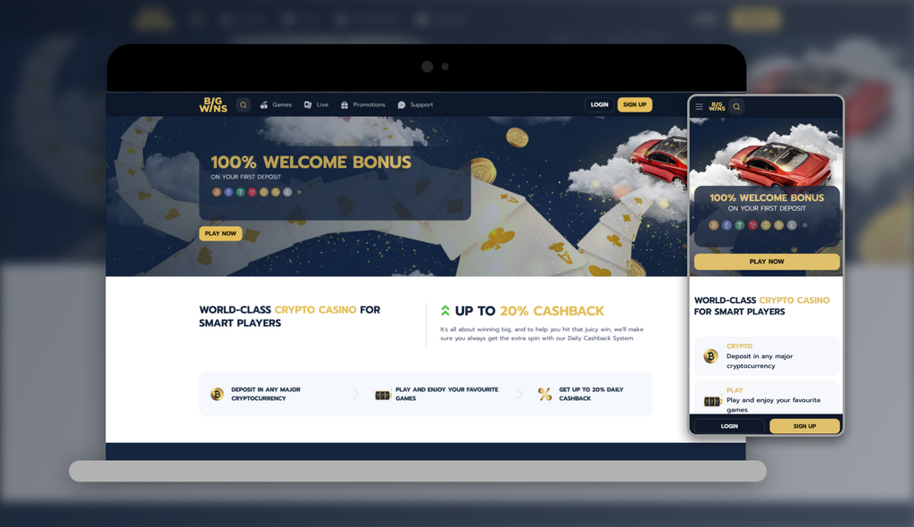 Bigwins Casino Site Testimonial 2025
