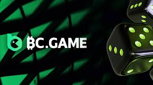 Understanding BC.Game Hash The Future of Fair Play in Online Gaming